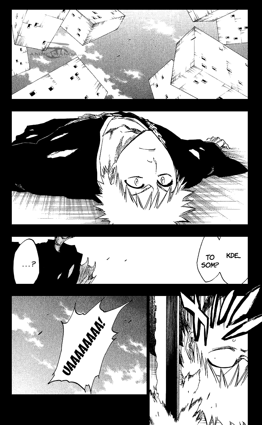 Bleach-25-07-04 kopie.jpg